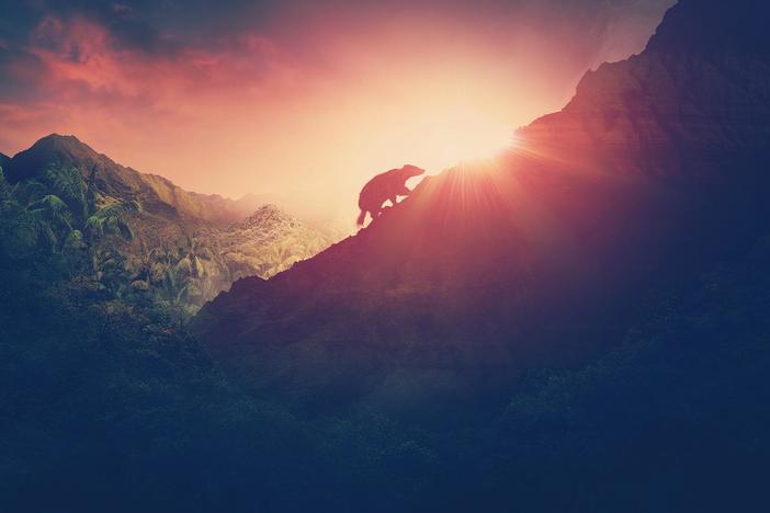 Amazing fossils reveal how mammals took over after an asteroid wiped out the dinosaurs.