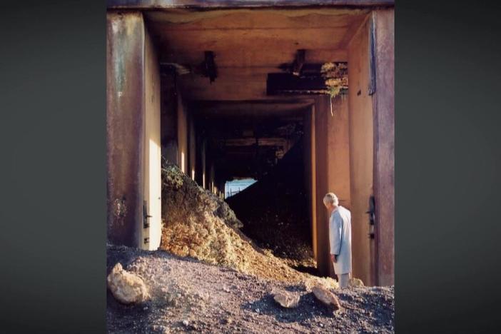 Industrial sites often create toxic waste. Julie Bargmann uses it to transform landscapes