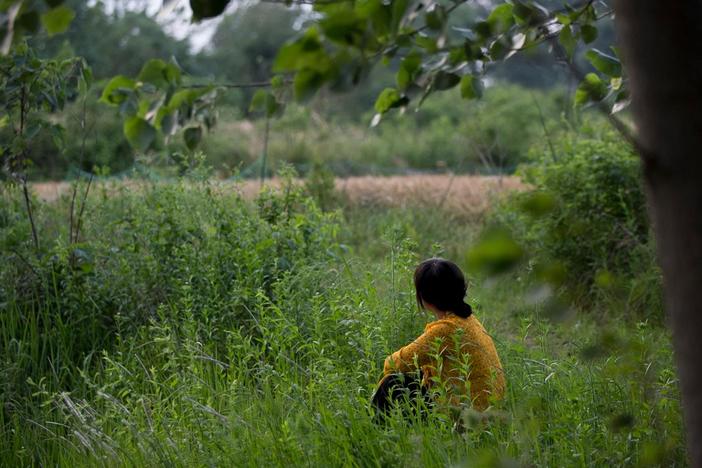 A rural poet becomes a sudden star in China, whose writings ponder life, love and pain.