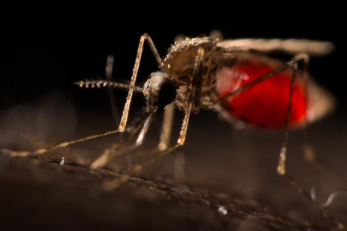About 80% of deaths caused by Malaria annually are young children, below the age of five.