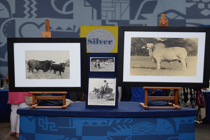 Appraisal: John Stryker Bull Photographs, ca. 1945, in Junk in the Trunk 7