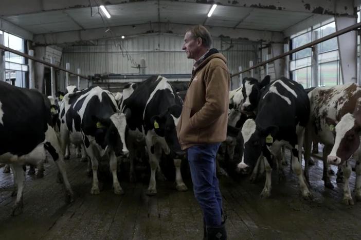How rural communities are tackling a suicide and depression crisis among farmers