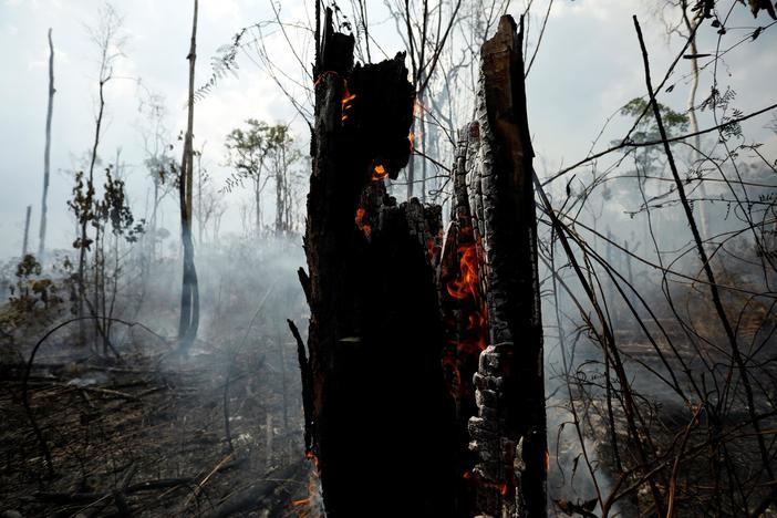 How Amazon deforestation could push the climate to a 'tipping point'