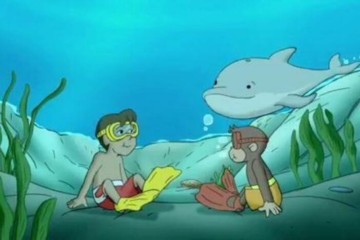 Curious George swims with dolphins and learns about how they communicate underwater.