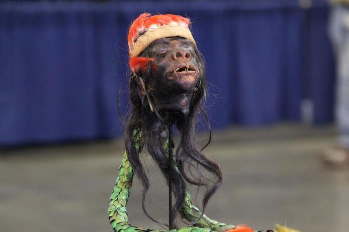 Web Appraisal: Amazon Basin Jivaro Shrunken Head, from Cleveland.