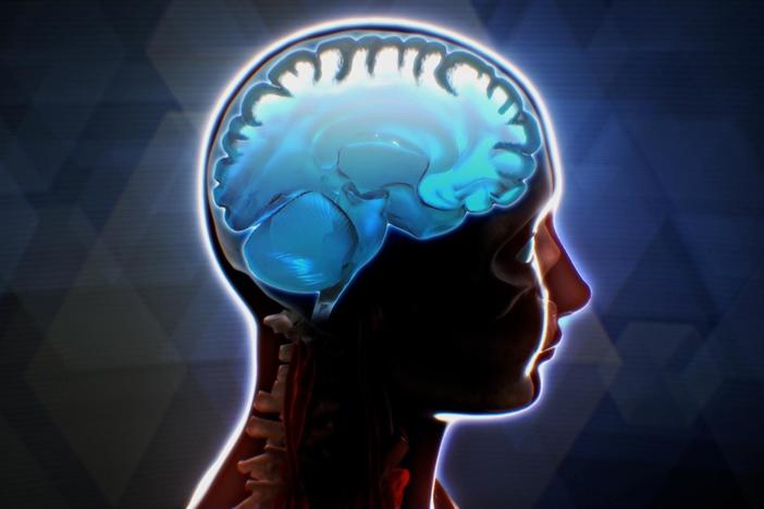 Our natural endocannabinoids reach their highest levels as the brain develops.