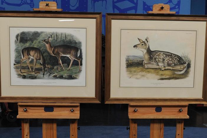 Appraisal: Audubon Quadrupeds Prints, ca. 1845, from Santa Clara, Hour 3.