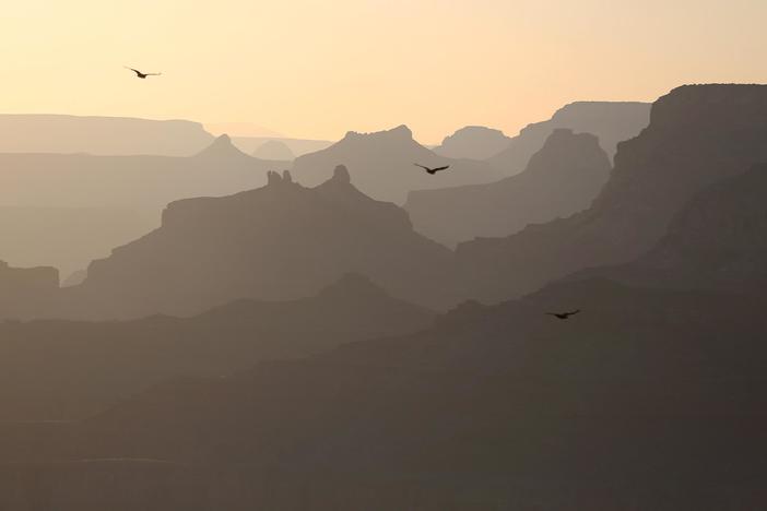 The Senate just passed a historic environmental bill. Here's what's in it