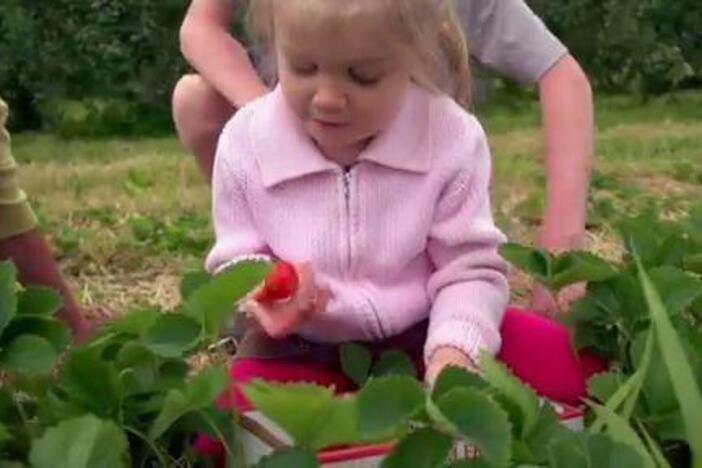 Real kids show the ways that they can be helpful.