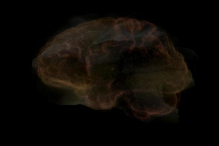David explains how the brain experiences the outside world without ever having seen it.