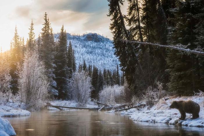 A river of extremes, remote and wild, the Yukon is North America’s legendary frozen River.