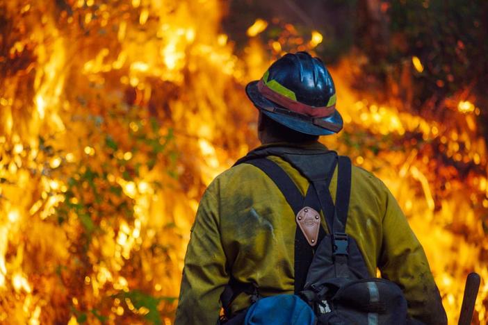 Examine how science, nature, and tradition can prepare us for the future as the planet heats up.