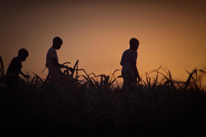 An attorney advocates for Dominicans of Haitain descent stripped of their citizenship.