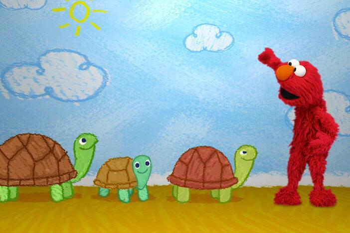 In Elmo's World, Elmo wonders about turtles and uses Smartie to learn more.