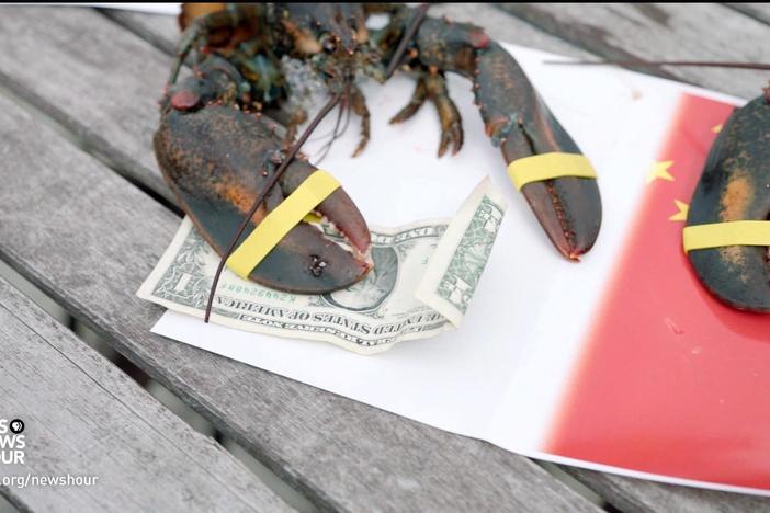 How U.S.-China trade war is pinching profits for Maine's lobster industry