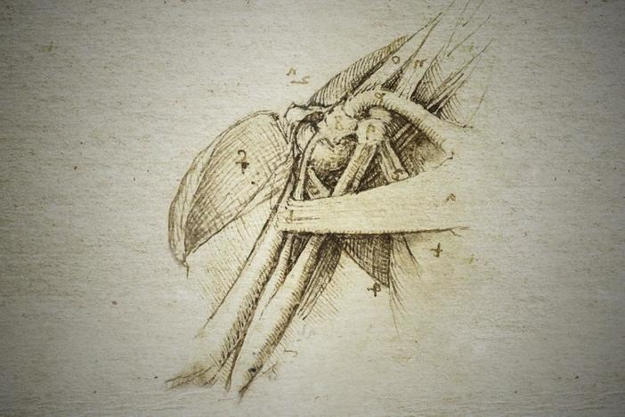 Do the Renaissance master’s drawings stand the test of time?