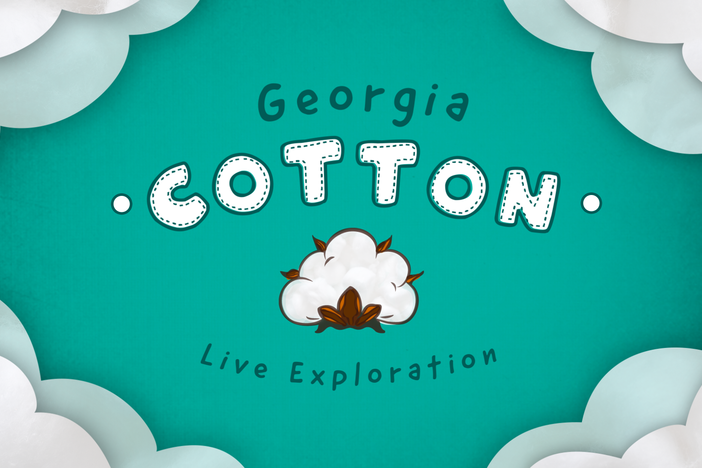 Explore Georgia's cotton industry from farm to fabric!