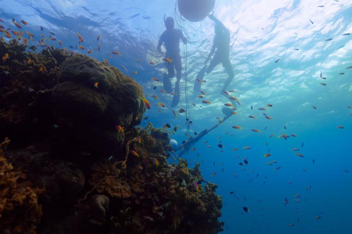 Professor Steve Simpson monitors the sounds of biodiversity on reefs in the Maldives.