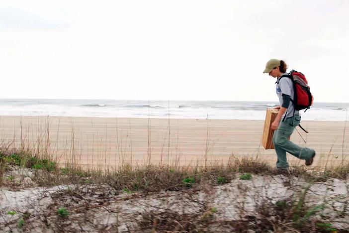 Meet Sandra Sneckenberger, a biologist in the southeastern US.