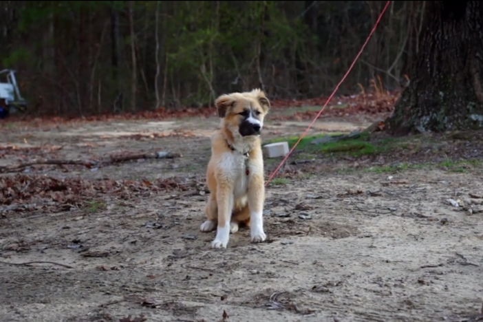 An intimate portrait of addiction and recovery atop Sand Mountain in rural Alabama.