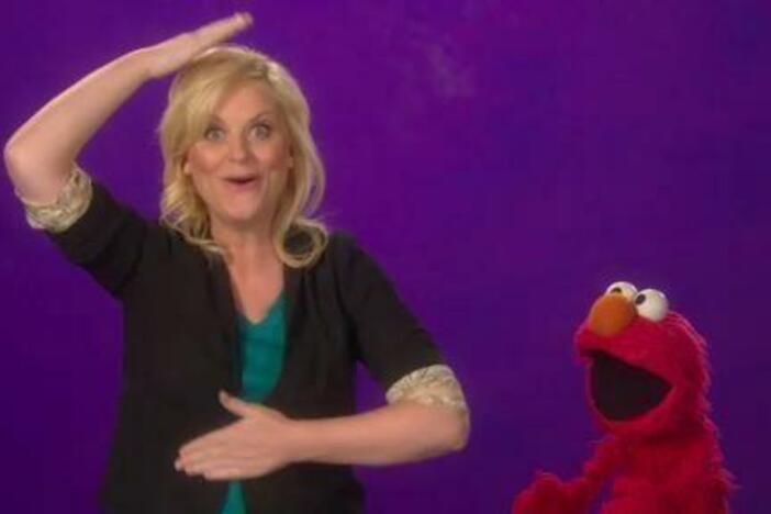 Amy Poehler and Elmo are up to the challenge!