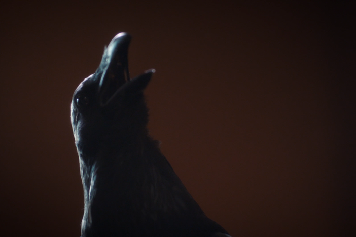 A crow trapped in Nonnatus house gives the Sisters and nurses a scare.