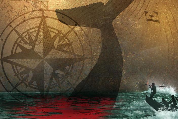 The nearly 400-year history of the American whaling industry.