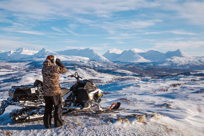 At the planet’s frozen extremes, animals can reveal the changes taking place.