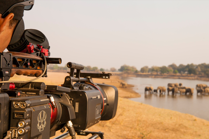 Go behind the scenes of "Hippo King."