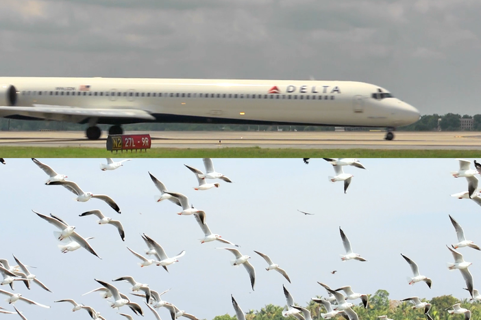 From the Fast Forward episode: Hartsfield-Jackson Atlanta International Airport