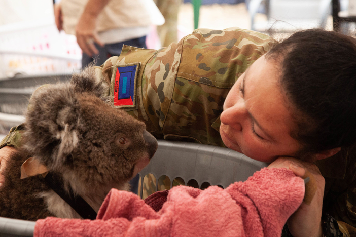 A mobile vet care unit is set up to treat injured animals in the aftermath of the fires.