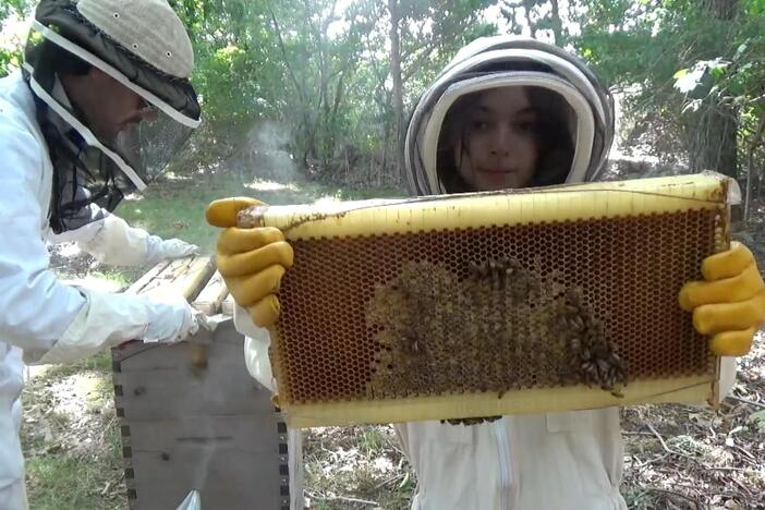 See why Onora is buzzing with excitement to explain how bees make honey!