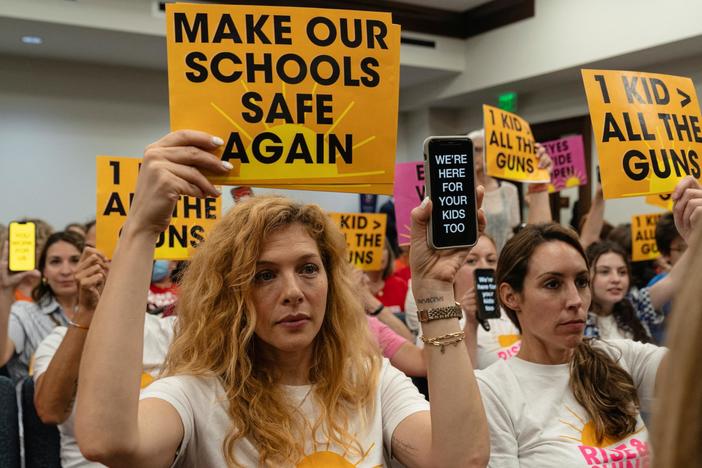 Tennessee legislature opens contentious special session over gun reform