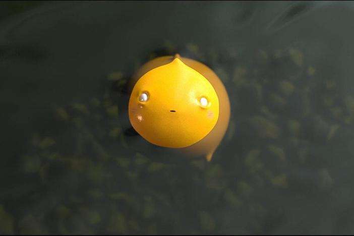 Marian, a common goldfish, realizes the claustrophobic nature of the world around her.