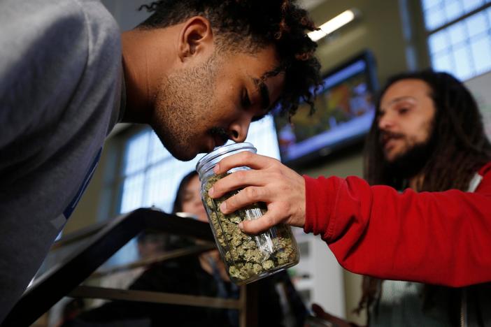 Marijuana has become big business. So why are small growers struggling to survive?