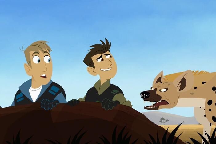 An aardvark is approached by a spotted hyena while digging a burrow.