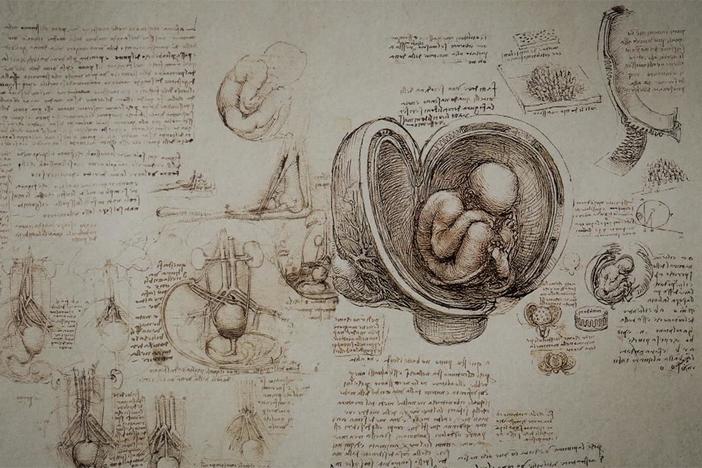 Leonardo’s first dissections were in search of the soul.
