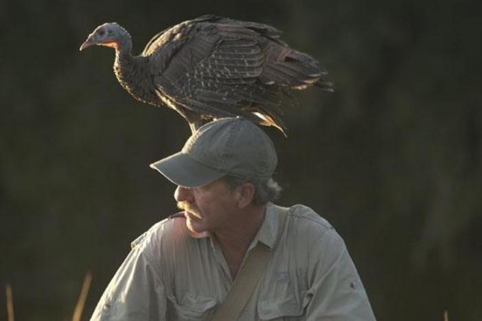 Premieres Wednesday, November 16, 2011 at 8:00 p.m. ET/PT.  Check your local listings.