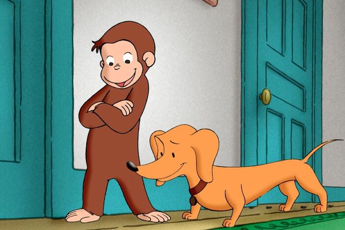 Ants move in with George. / George and Allie go searching for maple syrup.
