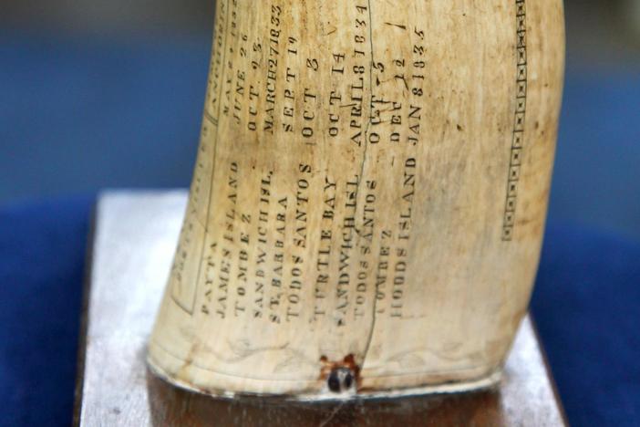 Appraisal: 1831 "Timoleon" Scrimshaw Tooth, from ROADSHOW's Special: Junk in the Trunk.