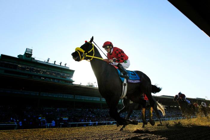 Spike in horse fatalities at Santa Anita Park casts shadow over racing industry