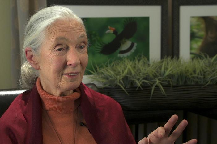 SEED: The Untold Story premieres on PBS’s Independent Lens on Monday, April 17, 2017.