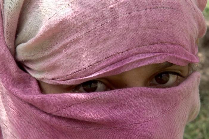 The unexpected collateral damage of the counter-narcotics effort in Afghanistan.