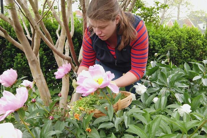 Landscape designer Piet Oudolf on finding solace in the garden