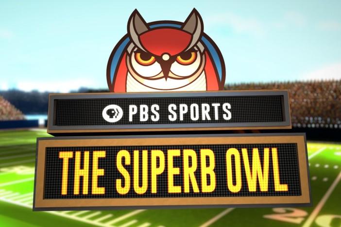 Let’s celebrate a champion of the bird world: Stealthy and silent owls!