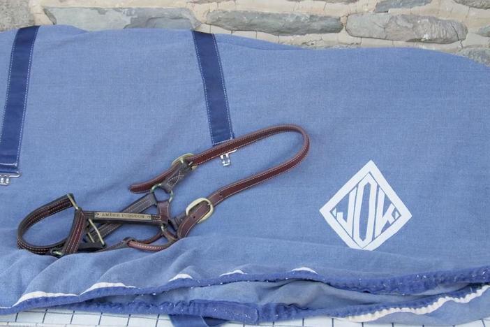 Celebrity Edition, Hour 4: Jacqueline Kennedy Horse Amber Pigeon Halter & Cooling Blanket
