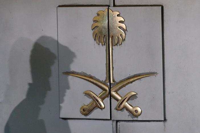 Khashoggi's brutal murder was a 'state killing,' special rapporteur says