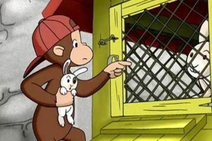 Uh oh!  The bunnies have broken out of their pen, and George has to track them down!
