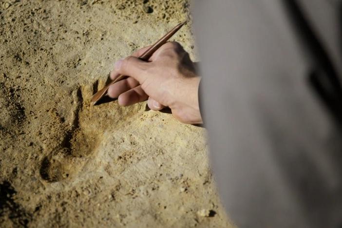 Scattered seeds help reveal when ancient humans first left footprints in North America.