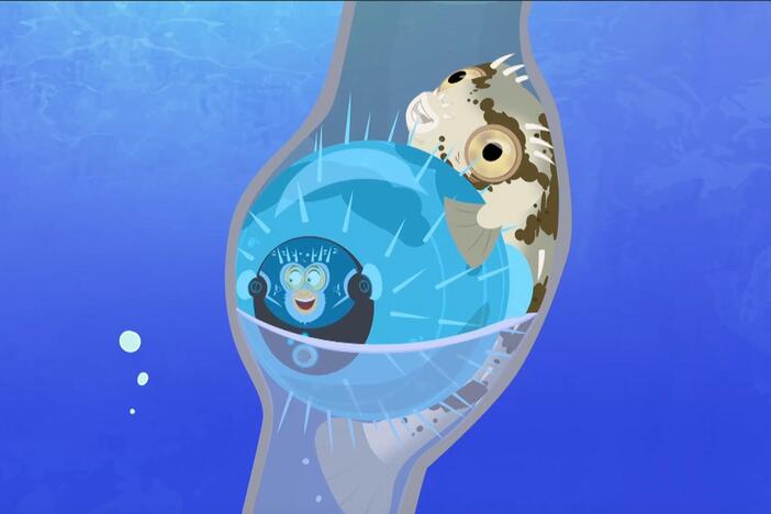 Martin, Chris, and the gang save the Blowfish from Donita and Dabio!